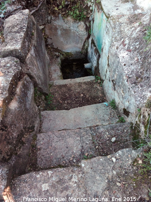 Fuente de El Acebuche - Fuente de El Acebuche. 