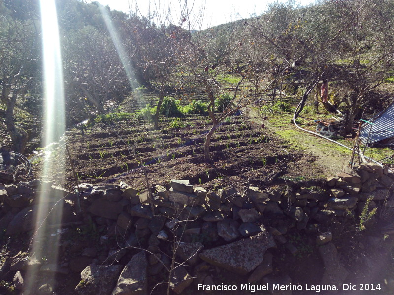 Lavaderos del Cortijo de Pura - Lavaderos del Cortijo de Pura. Huerta