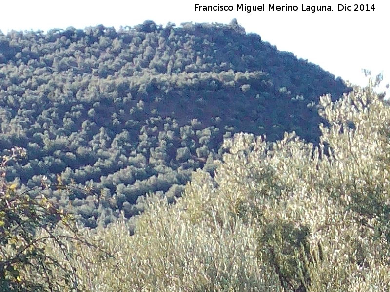 Cerro de Las Monjas - Cerro de Las Monjas. 