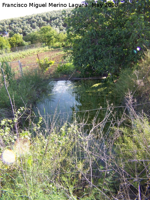 Alberca del Bergado - Alberca del Bergado. 