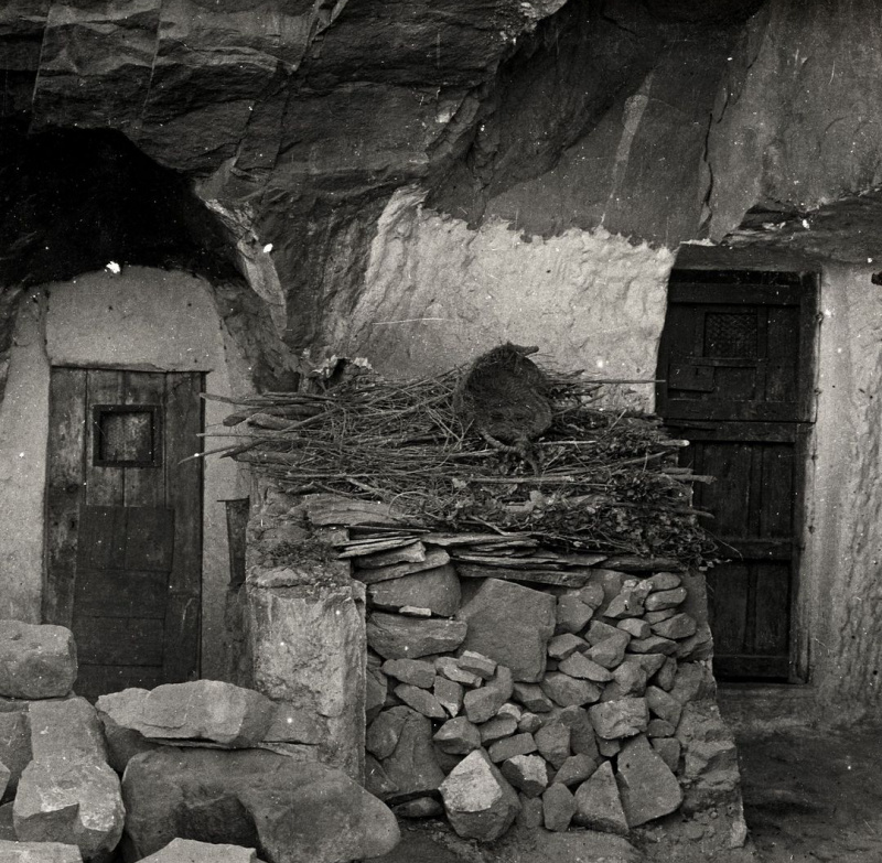 Casas Cueva de la Guarida - Casas Cueva de la Guarida. Foto antigua