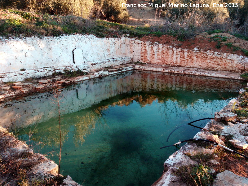 Alberca de Las Alminillas - Alberca de Las Alminillas. 