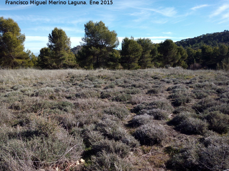 Cuevas Piquita - Cuevas Piquita. Llano donde se encontraran los corrales