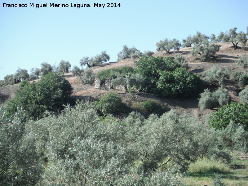 Cortijo de Las Emilias - Cortijo de Las Emilias. 