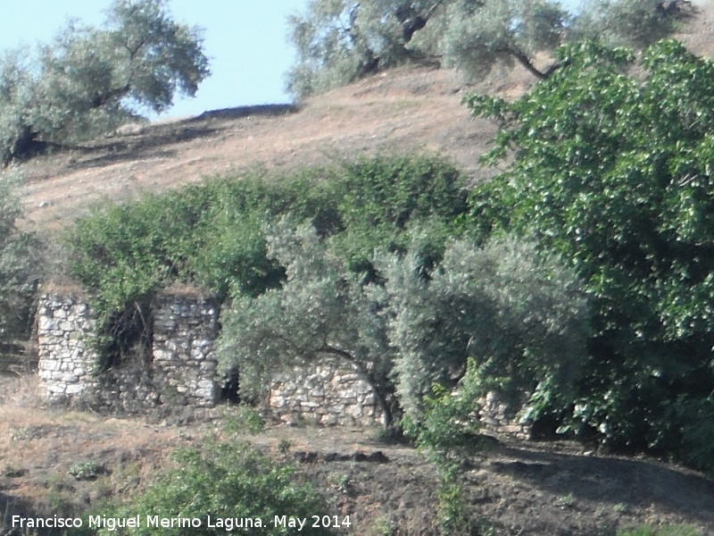 Cortijo de Las Emilias - Cortijo de Las Emilias. 