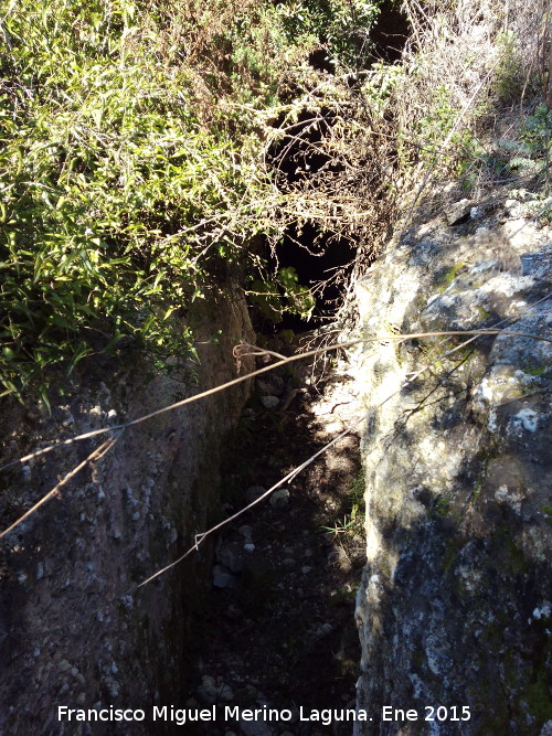 Fuente El Madroo - Fuente El Madroo. 