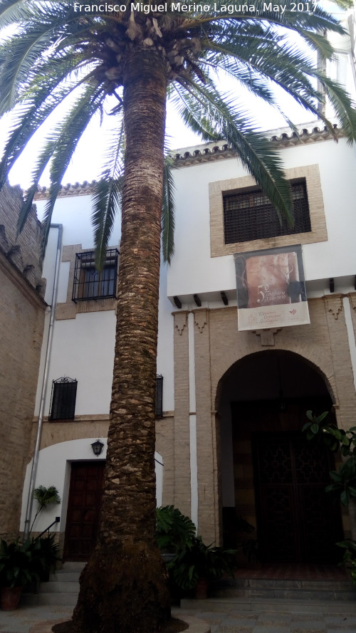 Iglesia Conventual de la Encarnacin - Iglesia Conventual de la Encarnacin. Patio