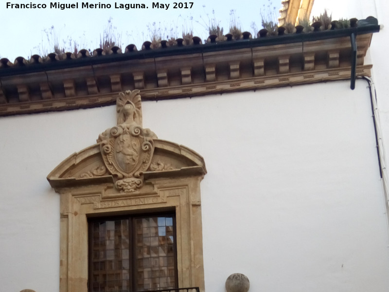 Palacio del Duque de Medina Sidonia - Palacio del Duque de Medina Sidonia. Alero