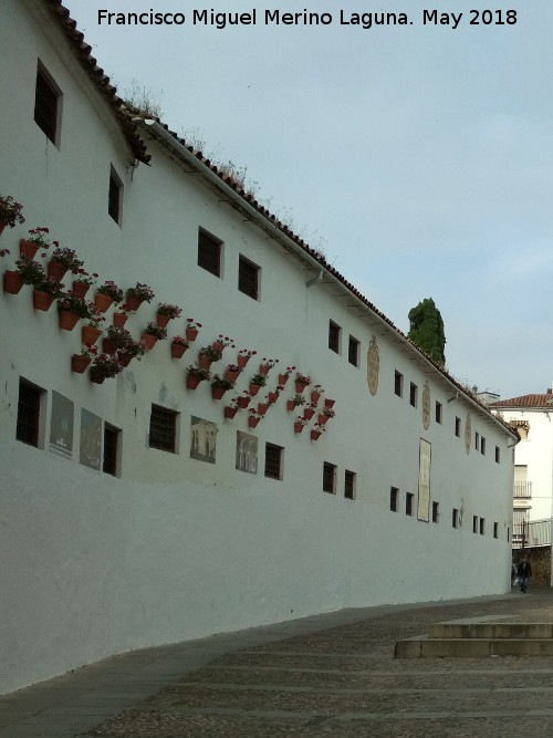 Convento de Santa Isabel de los ngeles - Convento de Santa Isabel de los ngeles. Lateral de la Plaza del Conde de Priego