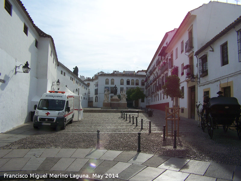 Plaza del Conde de Priego - Plaza del Conde de Priego. 