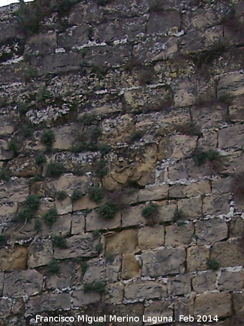 Escudos de la Muralla - Escudos de la Muralla. Escudo de Len en la Torre Norte de la Puerta de Jan