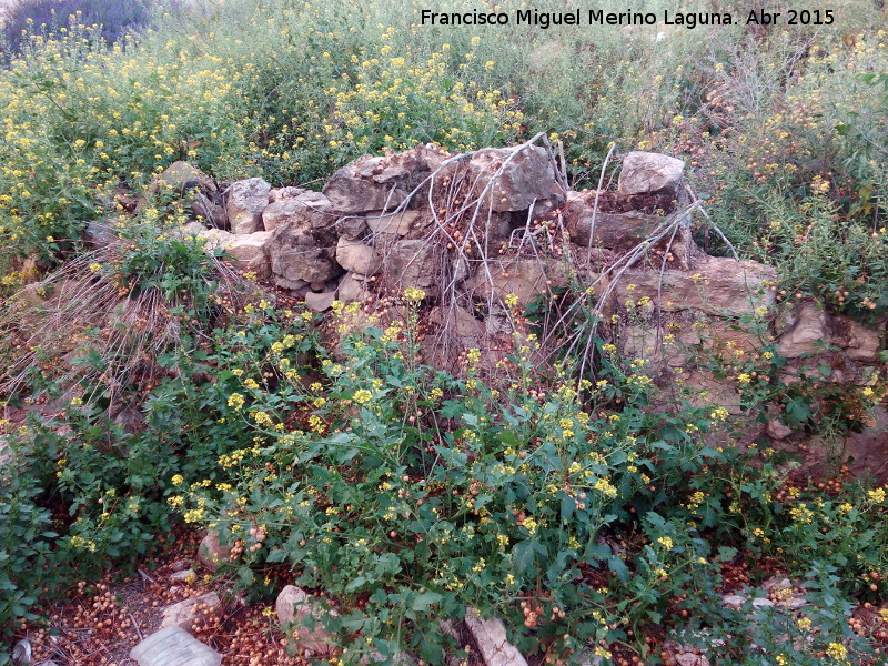 Aldea Graena Alta - Aldea Graena Alta. Restos de muros