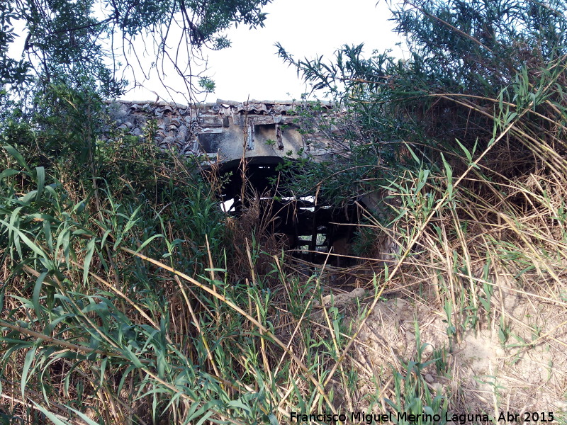 Molino de Graena - Molino de Graena. 