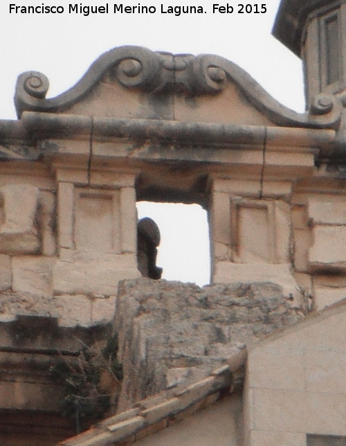 Catedral de Jan. Puerta del Cielo - Catedral de Jan. Puerta del Cielo. 