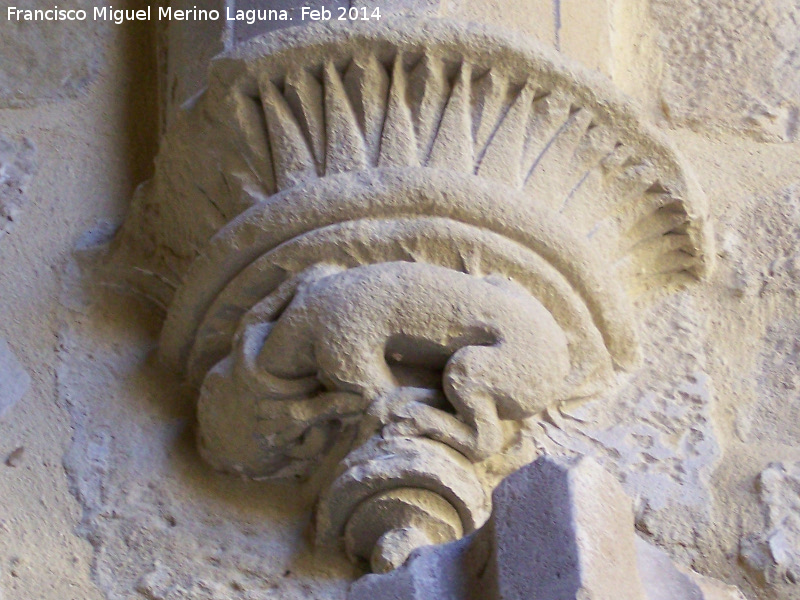 Colegiata de Santa Mara de los Reales Alczares. Claustro - Colegiata de Santa Mara de los Reales Alczares. Claustro. Mnsula de animal con la cabeza en una tinaja