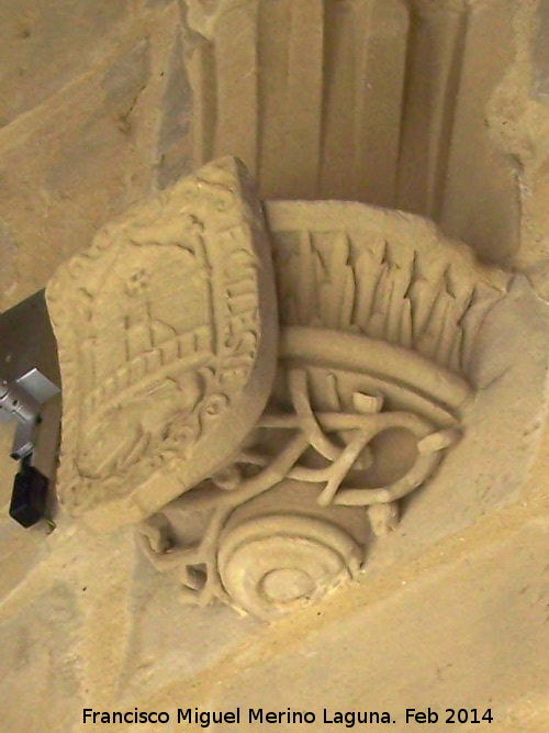 Colegiata de Santa Mara de los Reales Alczares. Claustro - Colegiata de Santa Mara de los Reales Alczares. Claustro. Mnsula con escudo