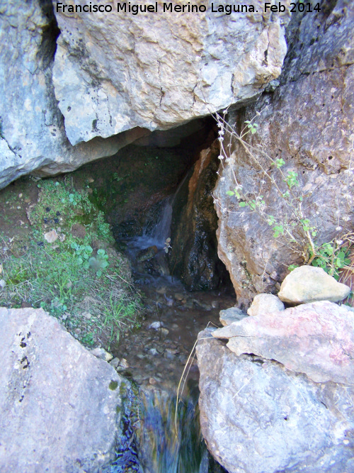 Nacimiento del Vadillo - Nacimiento del Vadillo. 