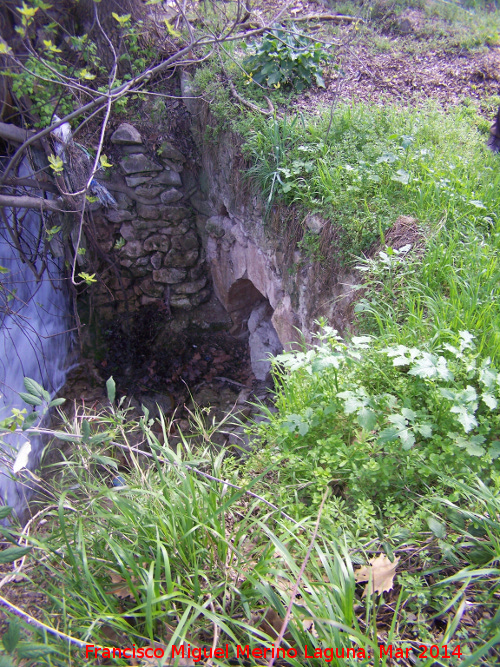 Molino de San Francisco - Molino de San Francisco. Puente