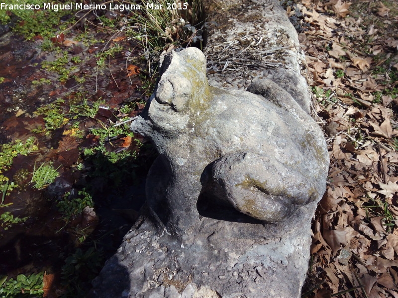 Fuente de las Ranas - Fuente de las Ranas. Rana