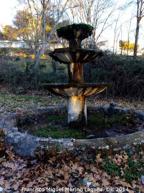 Fuente de las Ranas - Fuente de las Ranas. 