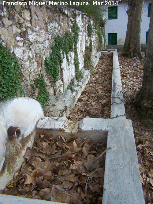 Pilar de Mata Bejid - Pilar de Mata Bejid. 