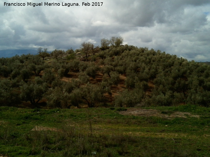 Necrpolis de las Torrecillas - Necrpolis de las Torrecillas. 