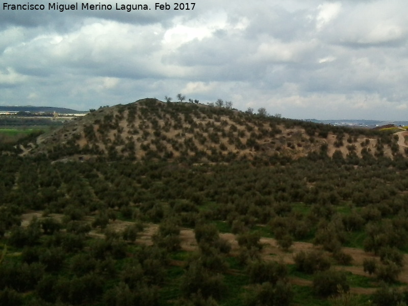 Necrpolis de las Torrecillas - Necrpolis de las Torrecillas. 