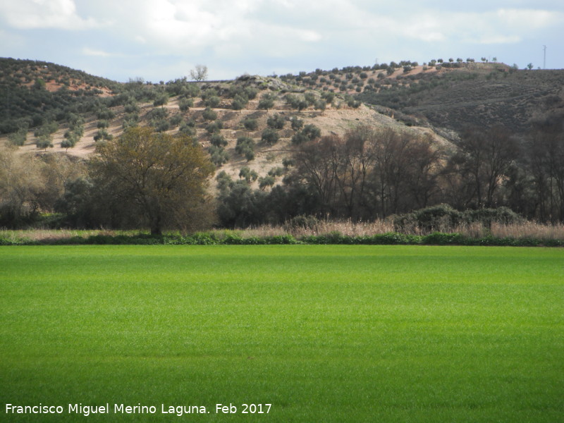 Necrpolis de las Torrecillas - Necrpolis de las Torrecillas. 