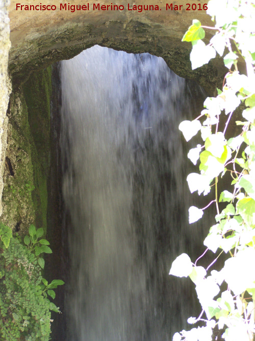 Molino Alto de Lope Prez - Molino Alto de Lope Prez. Cascada de desage