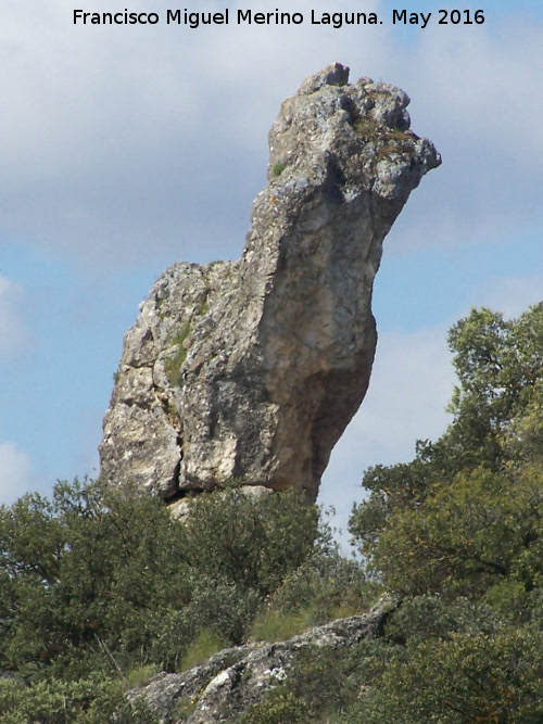 Piedra Virgen del Camello - Piedra Virgen del Camello. 