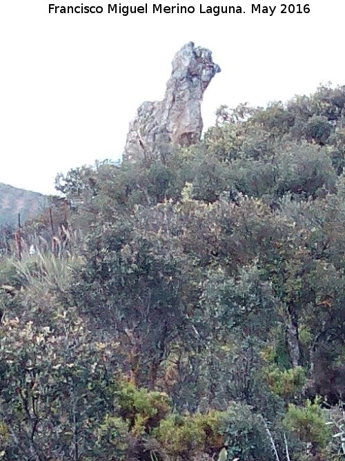 Piedra Virgen del Camello - Piedra Virgen del Camello. 