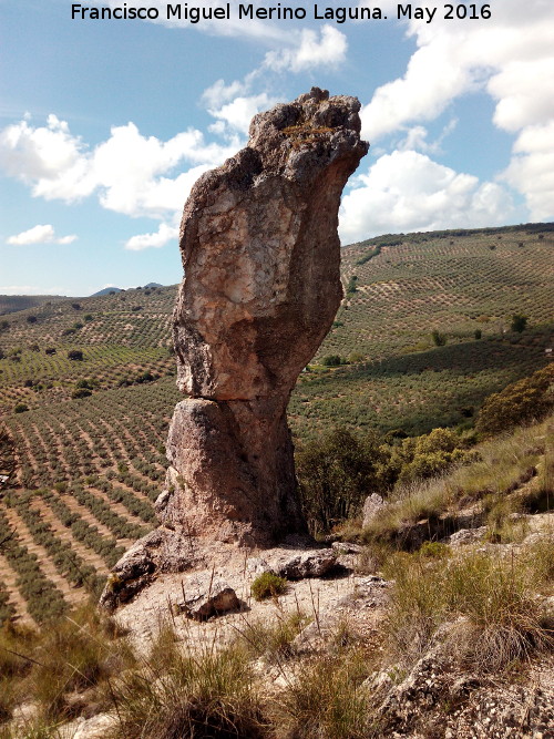Piedra Virgen del Camello - Piedra Virgen del Camello. 