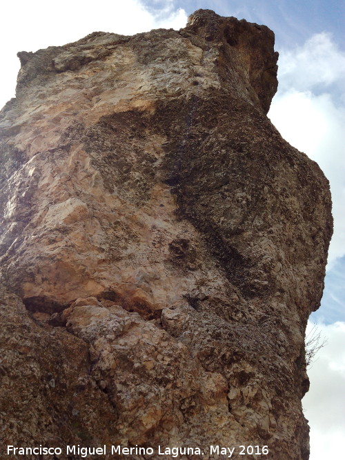 Piedra Virgen del Camello - Piedra Virgen del Camello. Desde abajo