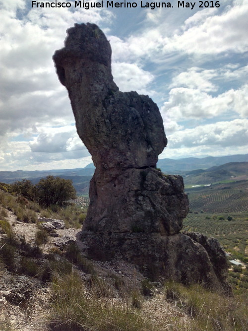 Piedra Virgen del Camello - Piedra Virgen del Camello. 