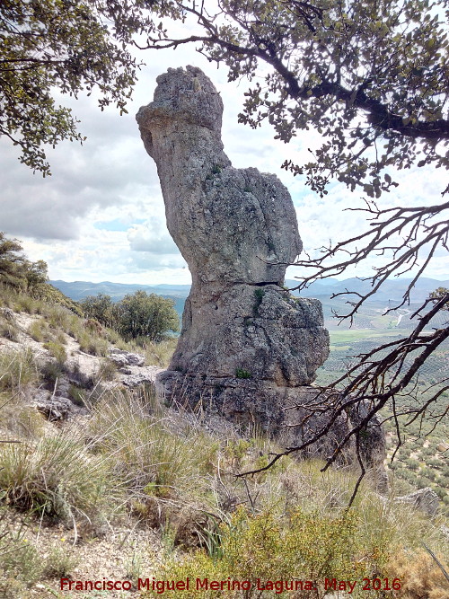 Piedra Virgen del Camello - Piedra Virgen del Camello. 