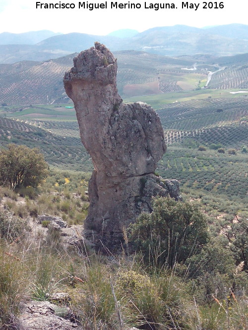 Piedra Virgen del Camello - Piedra Virgen del Camello. 