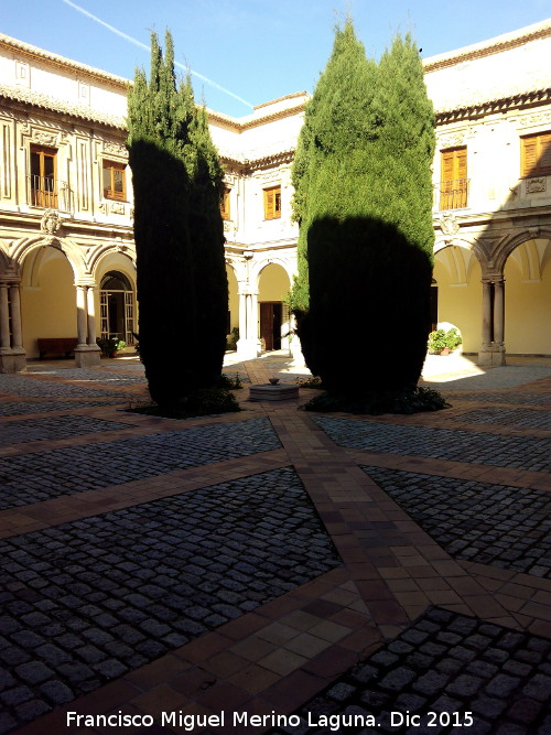 Convento de Santo Domingo - Convento de Santo Domingo. Cipreses recortados del claustro