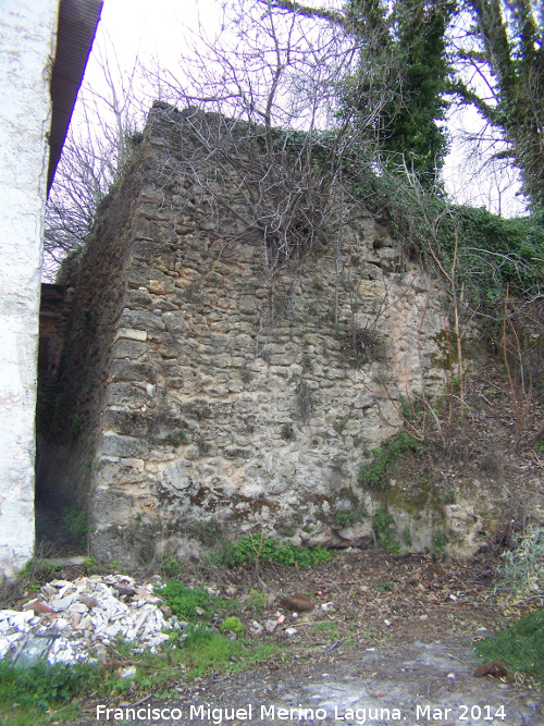 Molino de Papel - Molino de Papel. Molino