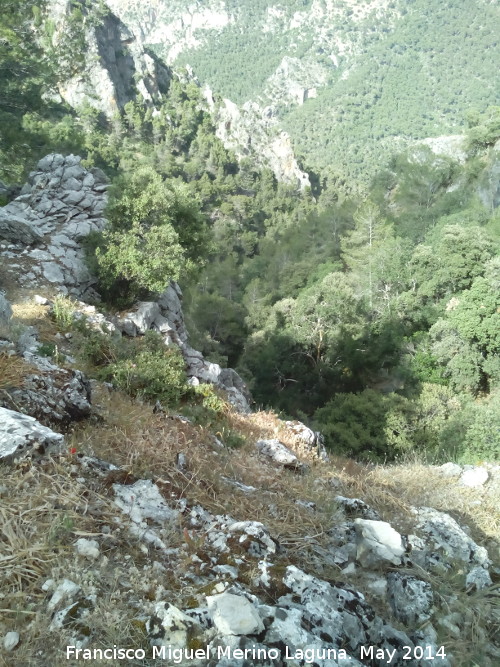 Sierra de Jan - Sierra de Jan. Arroyo de la Rinconada de los Acebuches