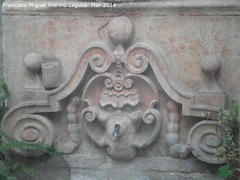 Fuente de los Salazares - Fuente de los Salazares. Cao