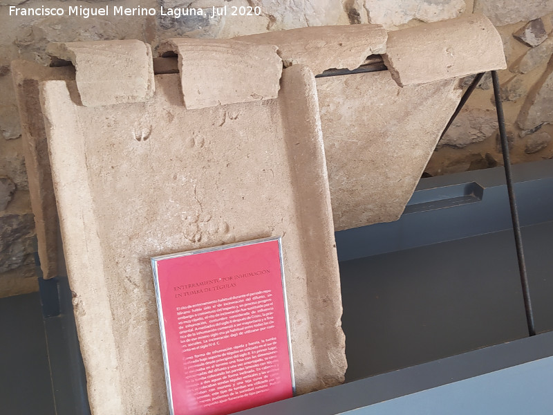 T�gola romana - T�gola romana. Tumba de t�golas. Museo La frontera y los castillos - Olvera