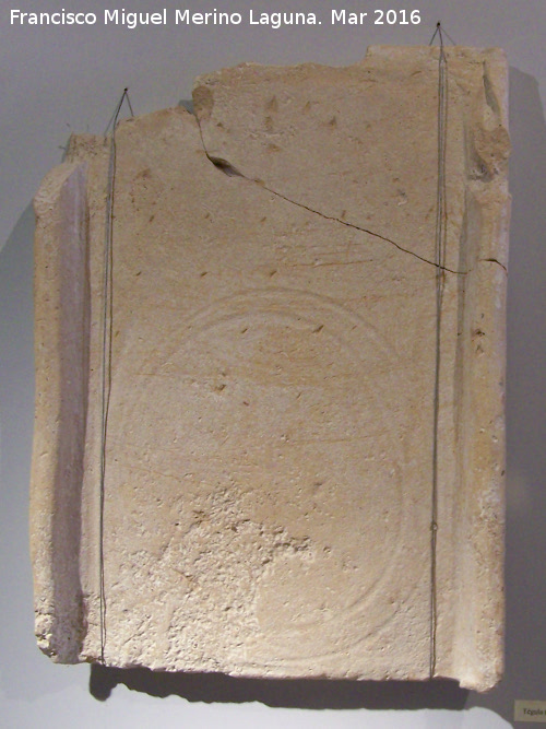 Tgola romana - Tgola romana. Museo Arqueolgico de Galera