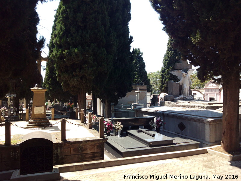 Cementerio de San Jos - Cementerio de San Jos. 