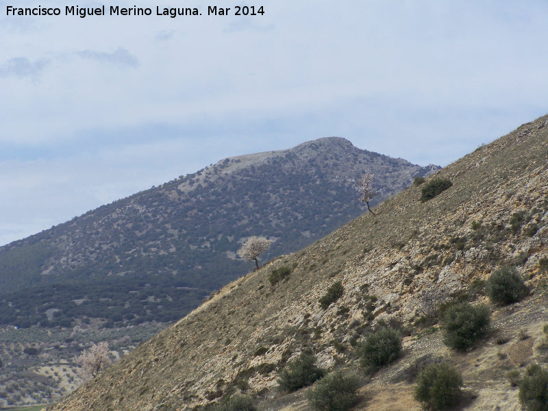 Cerro de los Ayozos - Cerro de los Ayozos. 