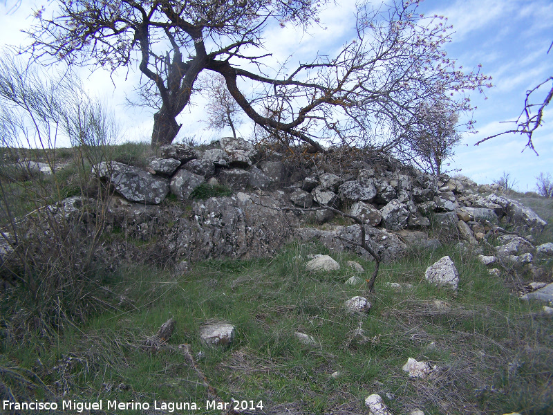 Oppidum de los Ayozos - Oppidum de los Ayozos. Muralla