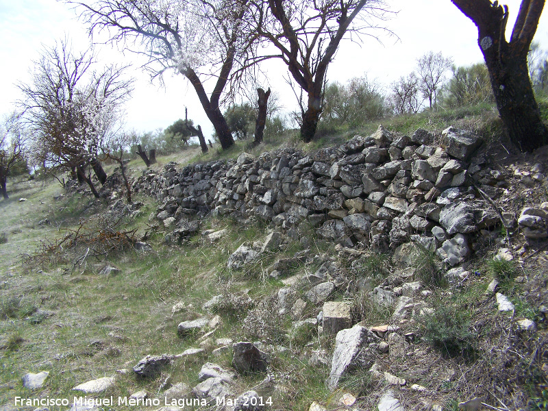 Oppidum de los Ayozos - Oppidum de los Ayozos. Muralla