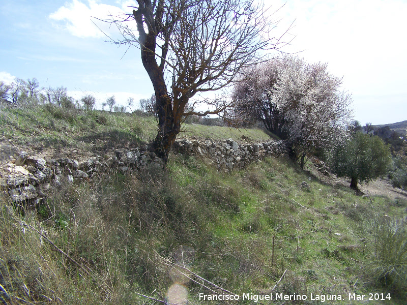 Oppidum de los Ayozos - Oppidum de los Ayozos. Muralla