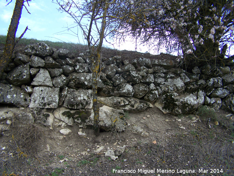 Oppidum de los Ayozos - Oppidum de los Ayozos. Muralla