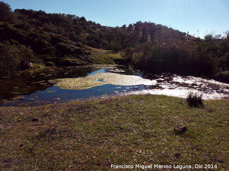 Estanque del Vadillo - Estanque del Vadillo. 