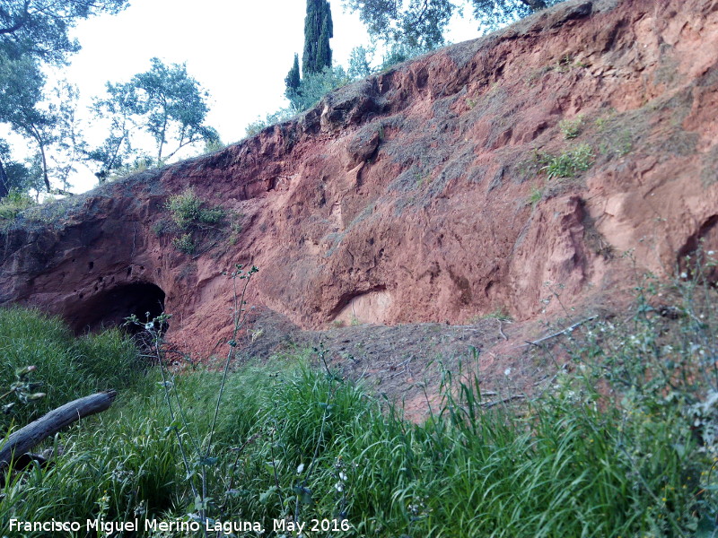 Cuevas de Martn Lechuga - Cuevas de Martn Lechuga. Cueva izquierda